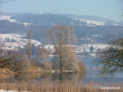 WinterBaldeggersee31