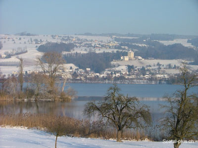 WinterBaldeggersee40