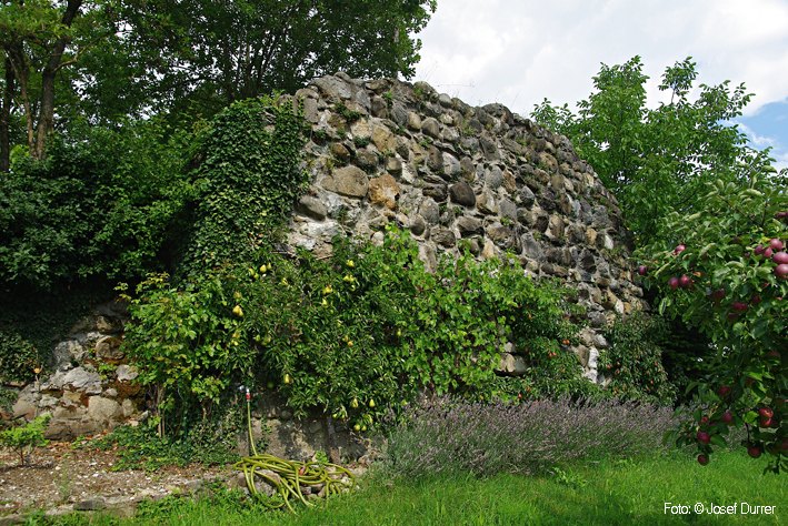Ruine Grünenberg LU
