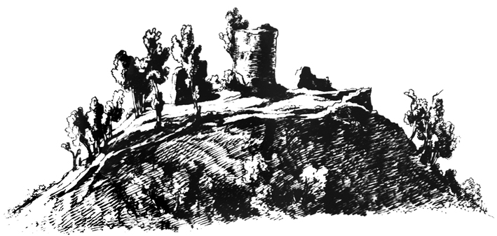 Büron Burg Ruine