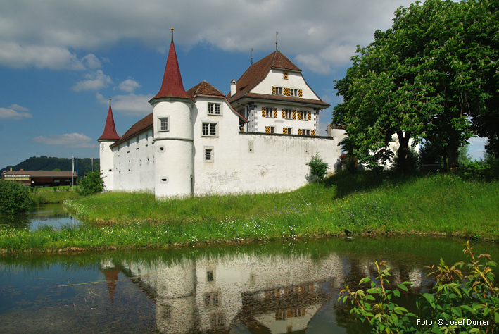 Schloss Wyher, Ettiswil