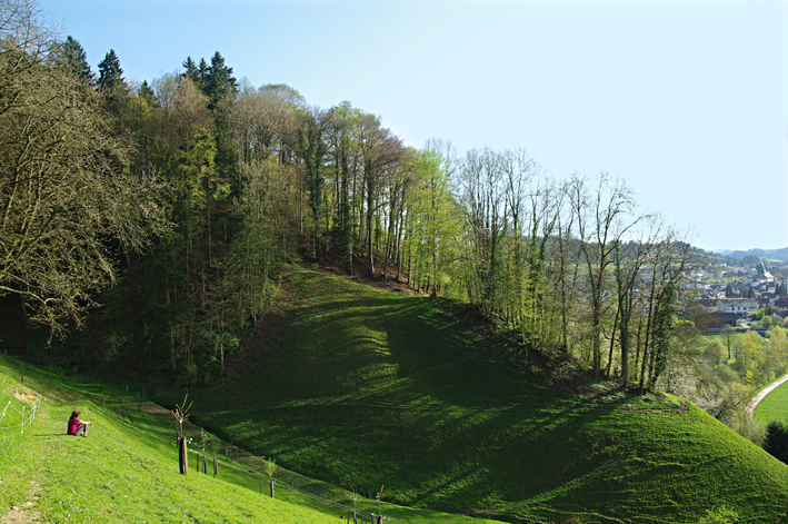 Hasenburg Willisau Hügel