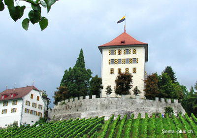 Schloss Heidegg 31